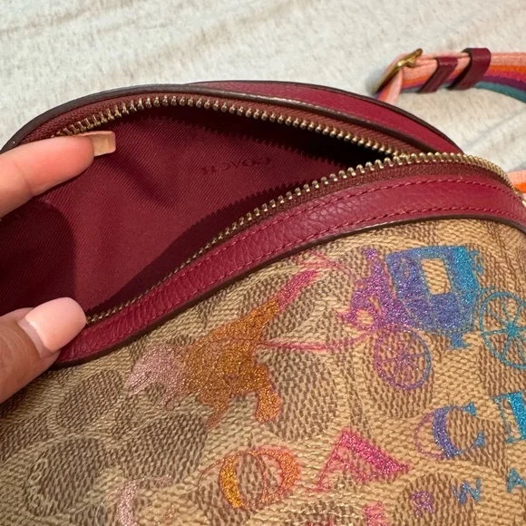 Coach REXY 🦖 rainbow carriage and Tan sling bag with rainbow 🌈 Strap - Picture 4 of 12